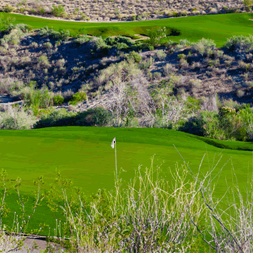 Курс   Совершите экскурсию в гольф-клуб Quarry Pines   Гольф-клуб Quarry Pines, одно из ведущих полей для гольфа в Тусоне, предлагает сочетание резких перепадов высот и потрясающих видов на горы с 18 приятными лунками
